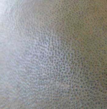 Photo-CamblFin-An09-040